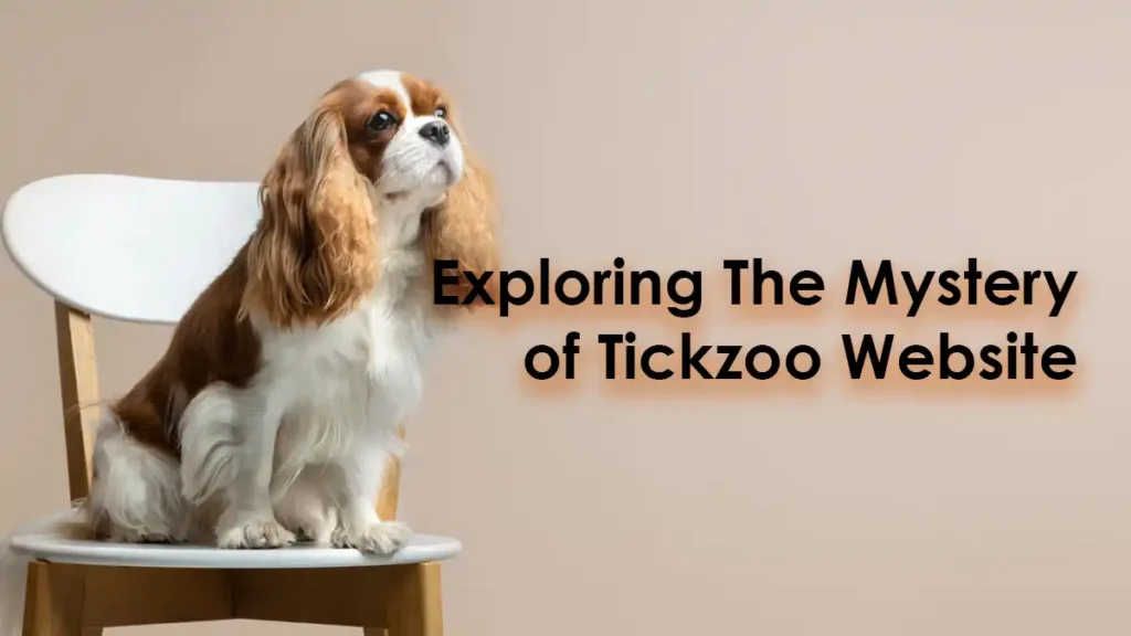 Tickzoo Website